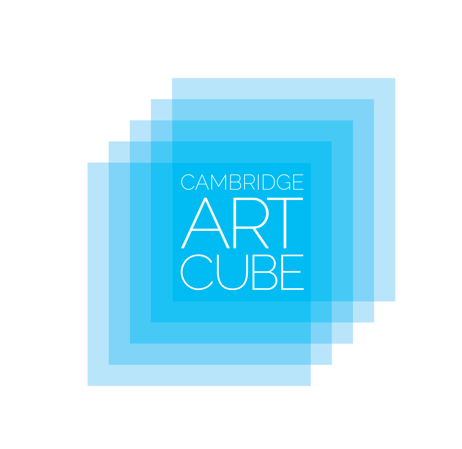 Cube intelligence overview